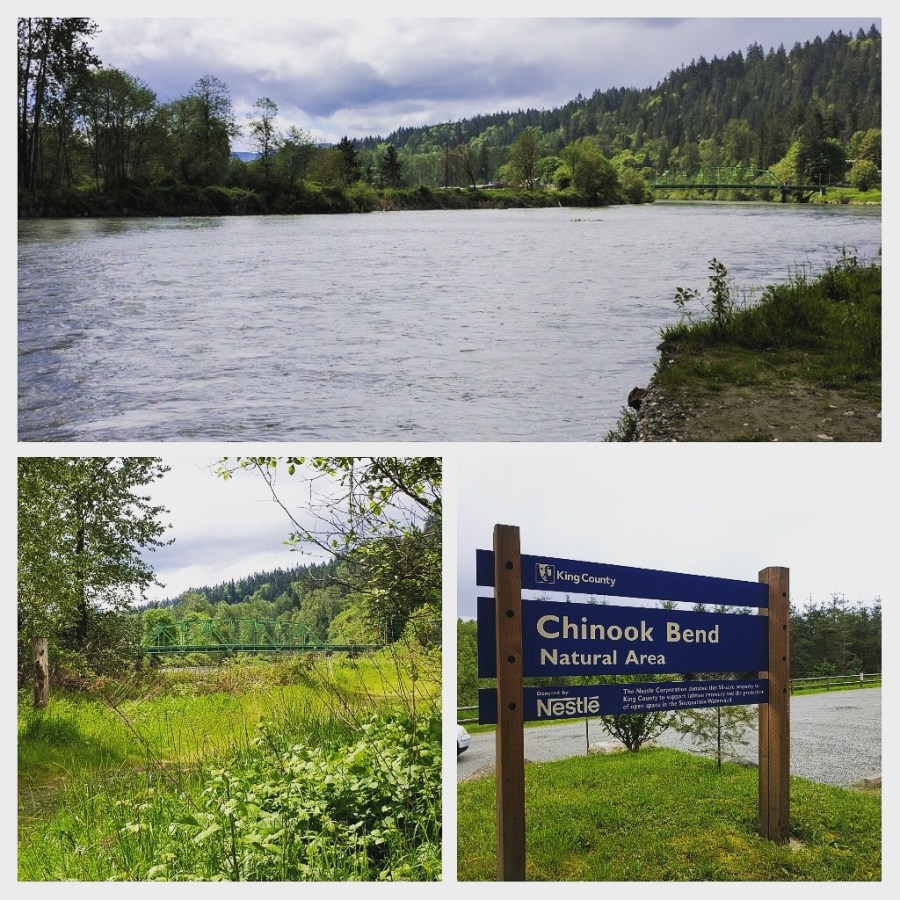 IMG_20170512_113324_665